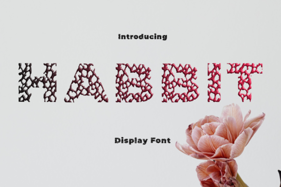 Habbit: The Elegant Display Font for Your Brand Identity